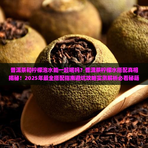 普洱茶和柠檬泡水搭配