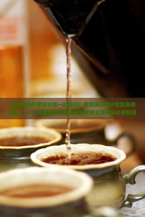 普洱茶和柠檬泡水搭配