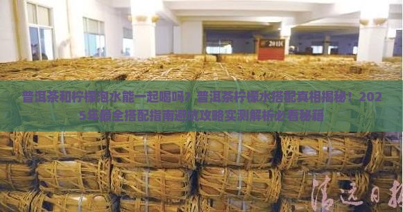 普洱茶和柠檬泡水搭配