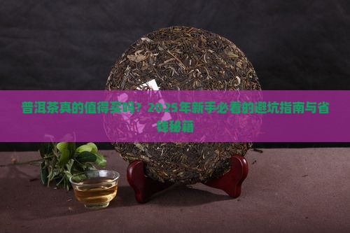 普洱茶全面介绍