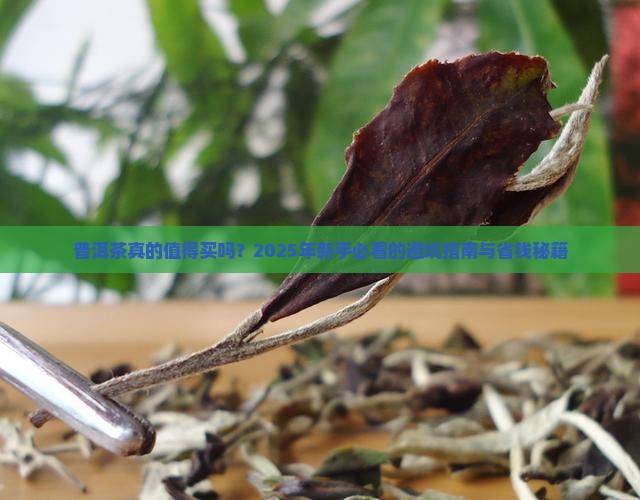 普洱茶全面介绍