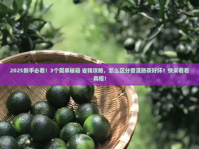 怎样区分普洱茶熟茶的好坏