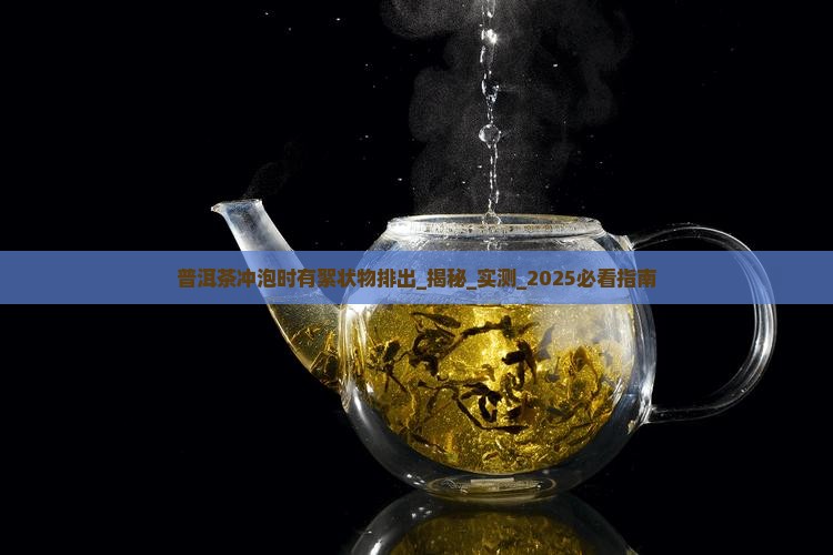普洱茶冲泡时有絮状物排出