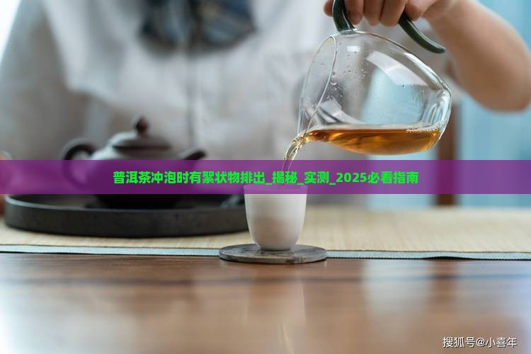 普洱茶冲泡时有絮状物排出