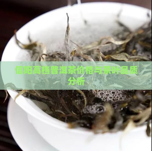 信阳高档普洱茶