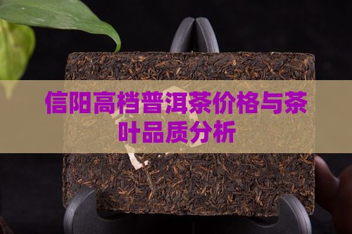 信阳高档普洱茶