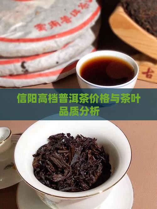 信阳高档普洱茶