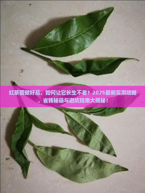 红茶菌做好后怎样保存