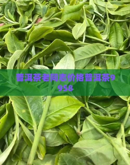 普洱茶9958