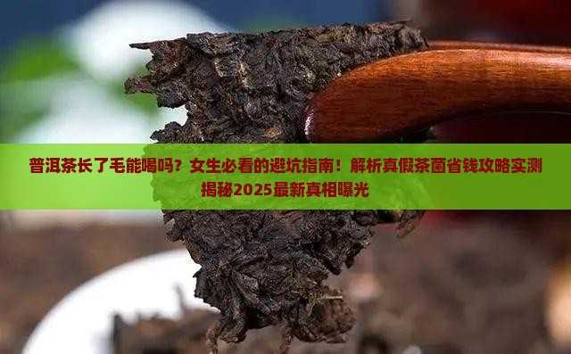 普洱茶长了毛可以喝吗女生