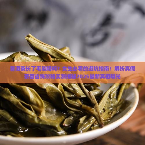 普洱茶长了毛可以喝吗女生