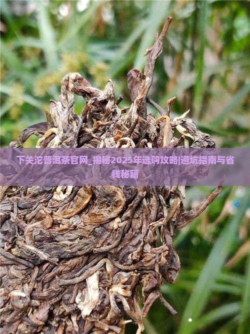 下关沱普洱茶官网