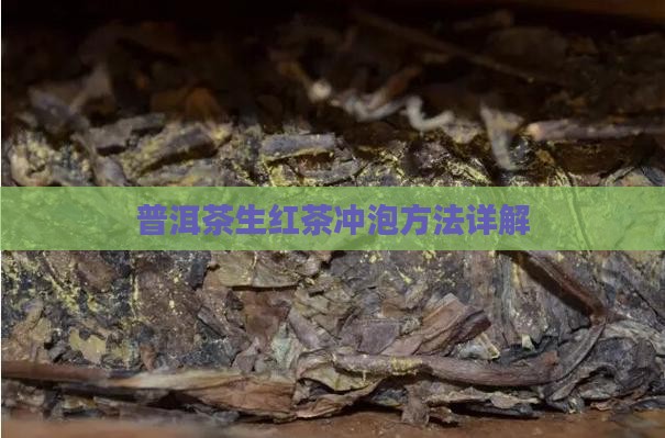 普洱茶生红茶冲泡手法