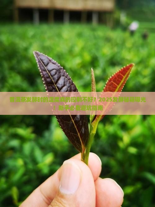 普洱茶发酵时的湿度