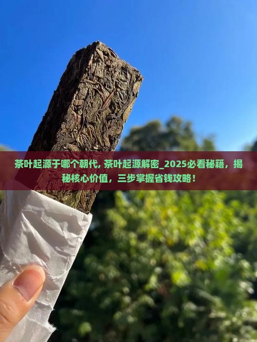 茶叶起源于哪个朝代