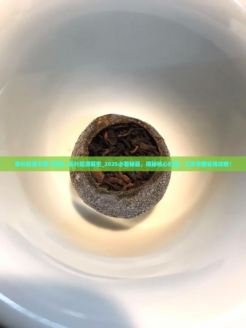 茶叶起源于哪个朝代