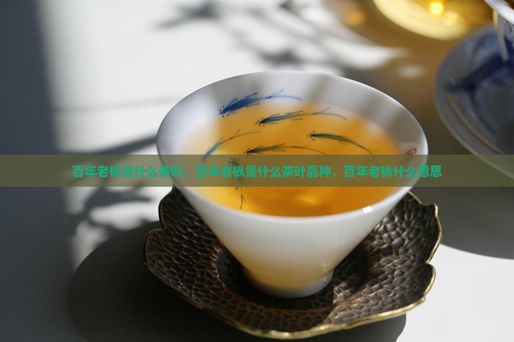 百年老枞是什么茶叶