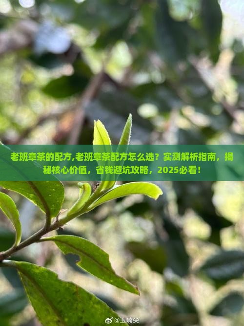 老班章茶的配方