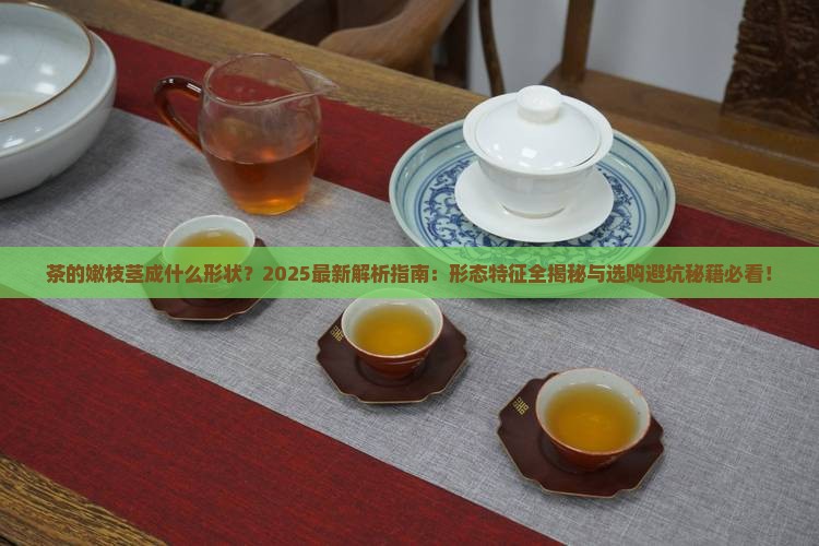 茶的嫩枝茎成什么形状