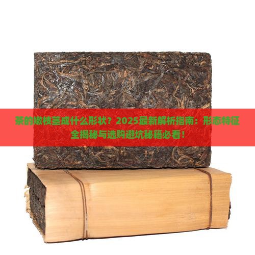 茶的嫩枝茎成什么形状