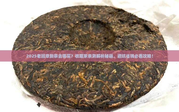 老班章有没有新茶