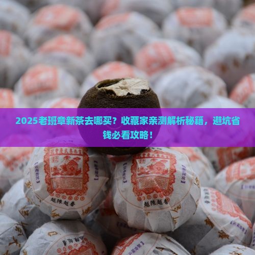 老班章有没有新茶
