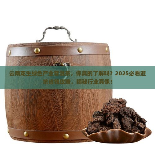 云南龙生绿色产业普洱茶