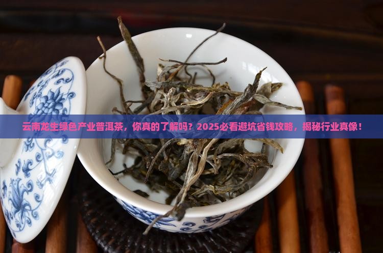 云南龙生绿色产业普洱茶