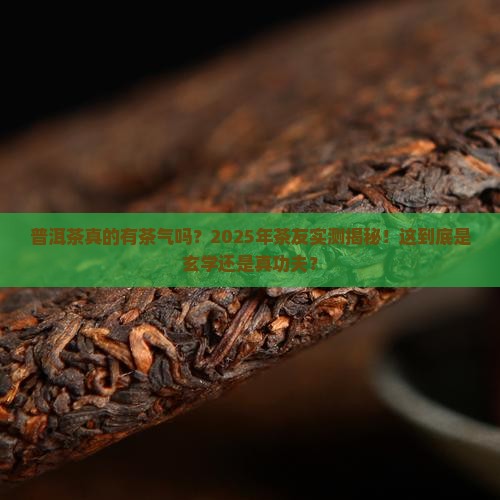 普洱茶有茶气足吗