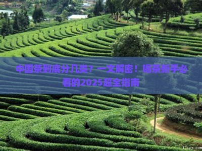 中国茶主要分为几大类