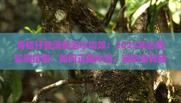 青桔仔普洱茶泡水功效