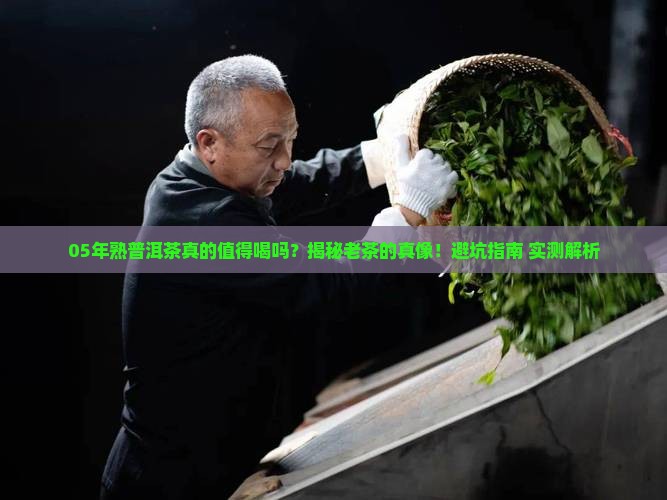 05年熟普洱茶