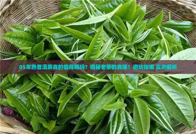 05年熟普洱茶