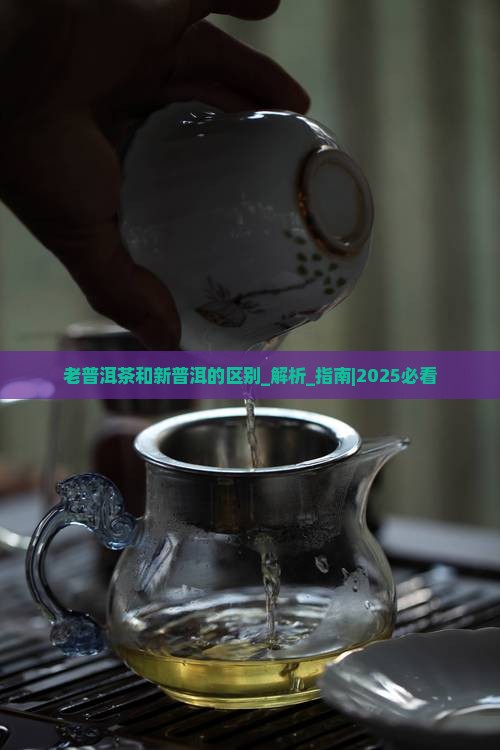 老普洱茶和新普洱的区别
