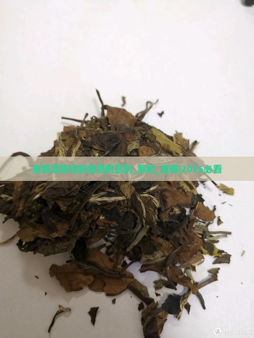 老普洱茶和新普洱的区别