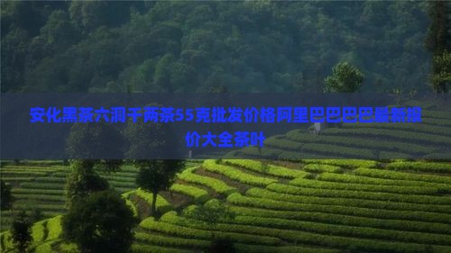 六洞千两茶55克价格