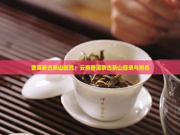 普洱茶古茶山揽胜
