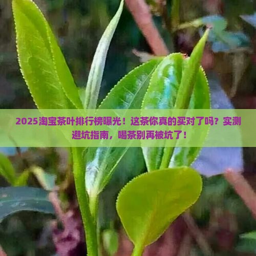 淘宝茶叶排行榜