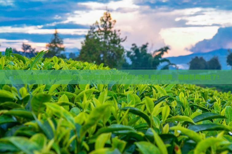 淘宝茶叶排行榜
