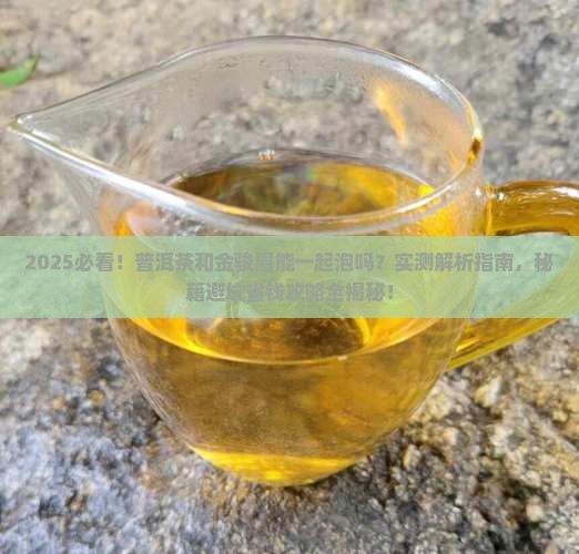 普洱茶能与金骏眉一起泡吗