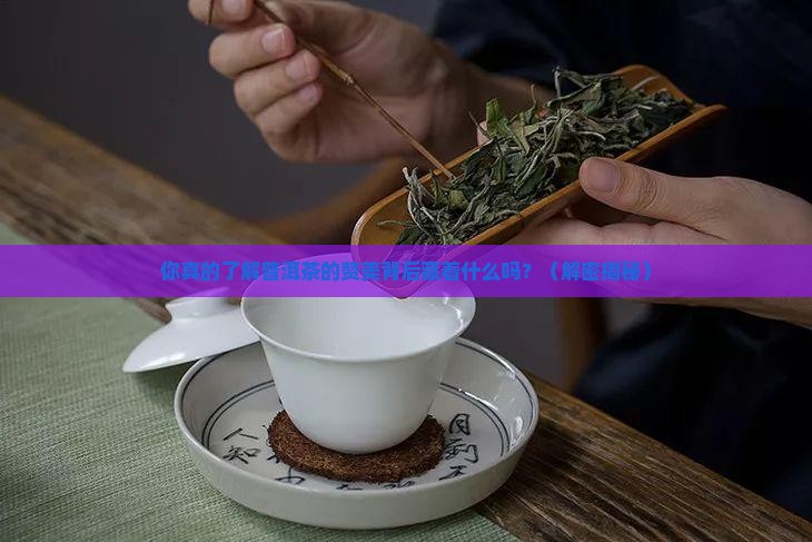 关于赞美普洱茶的