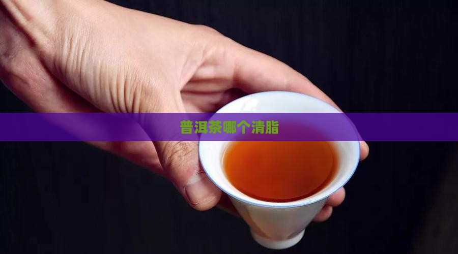 普洱茶哪个清脂