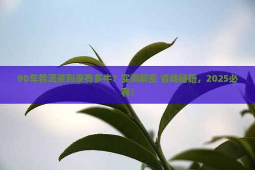 90年前的普洱茶