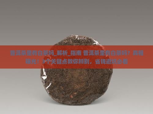普洱茶里有白茶吗