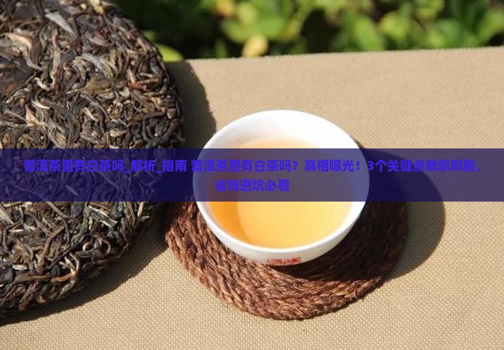普洱茶里有白茶吗