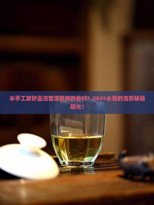 半手工紫砂壶泡普洱茶好不好