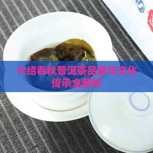 六绍春秋普洱茶