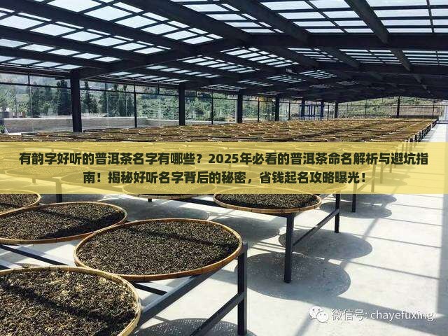 有韵字好听的普洱茶名字