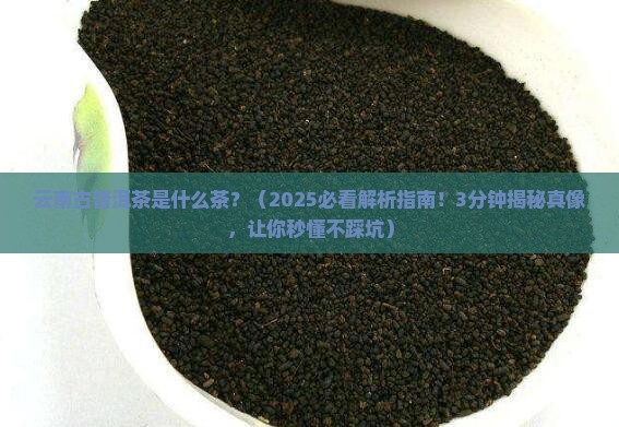 云南古普洱茶是什么茶