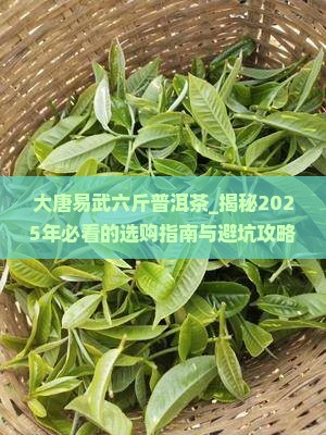大唐易武六斤普洱茶